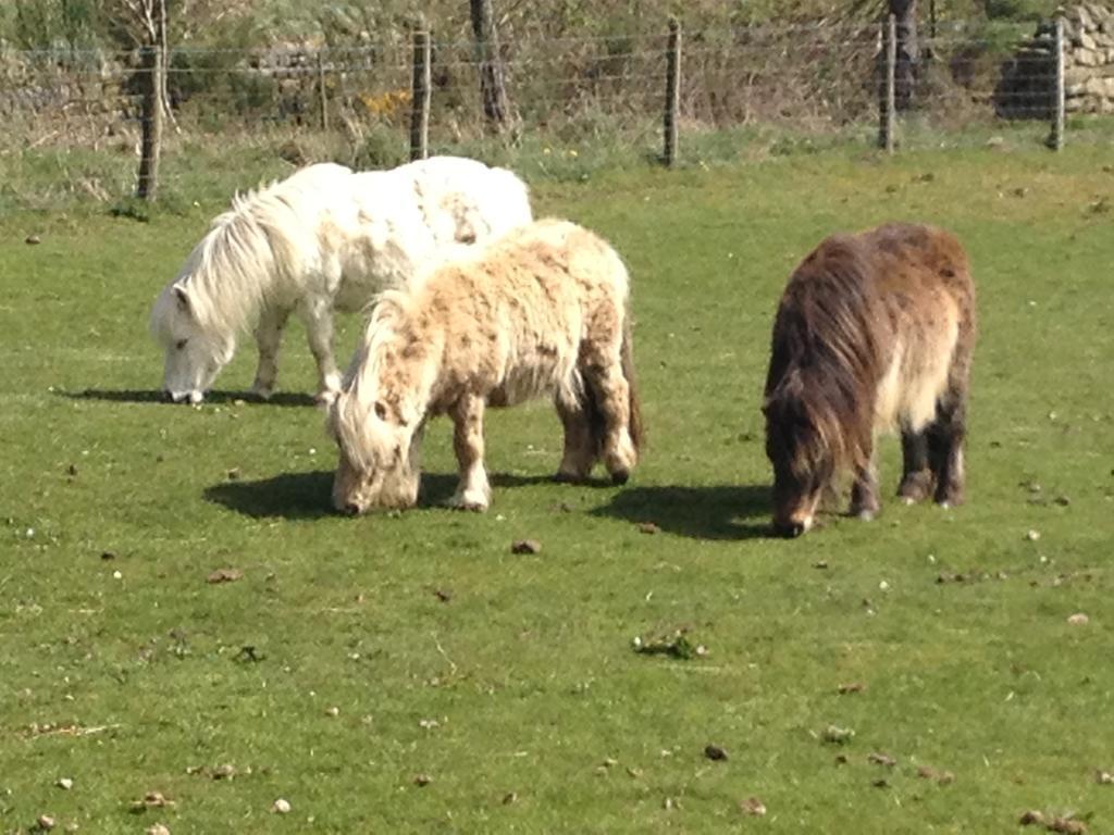 Smugglers Rock Country House Ravenscar Kültér fotó